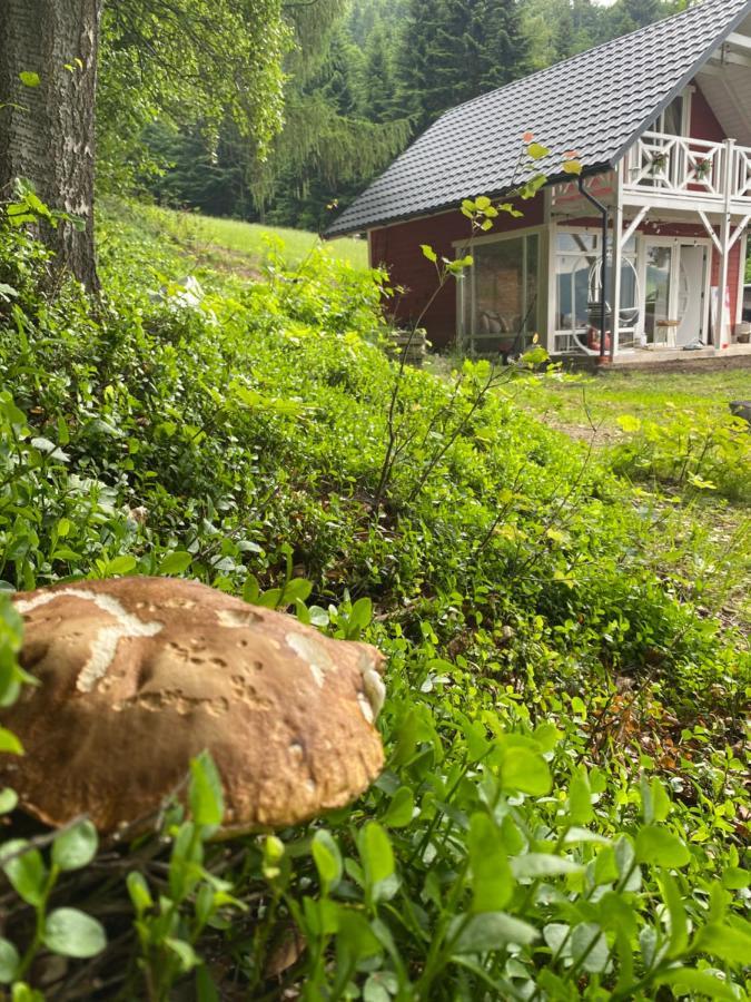 Forest House Targanice Eksteriør bilde