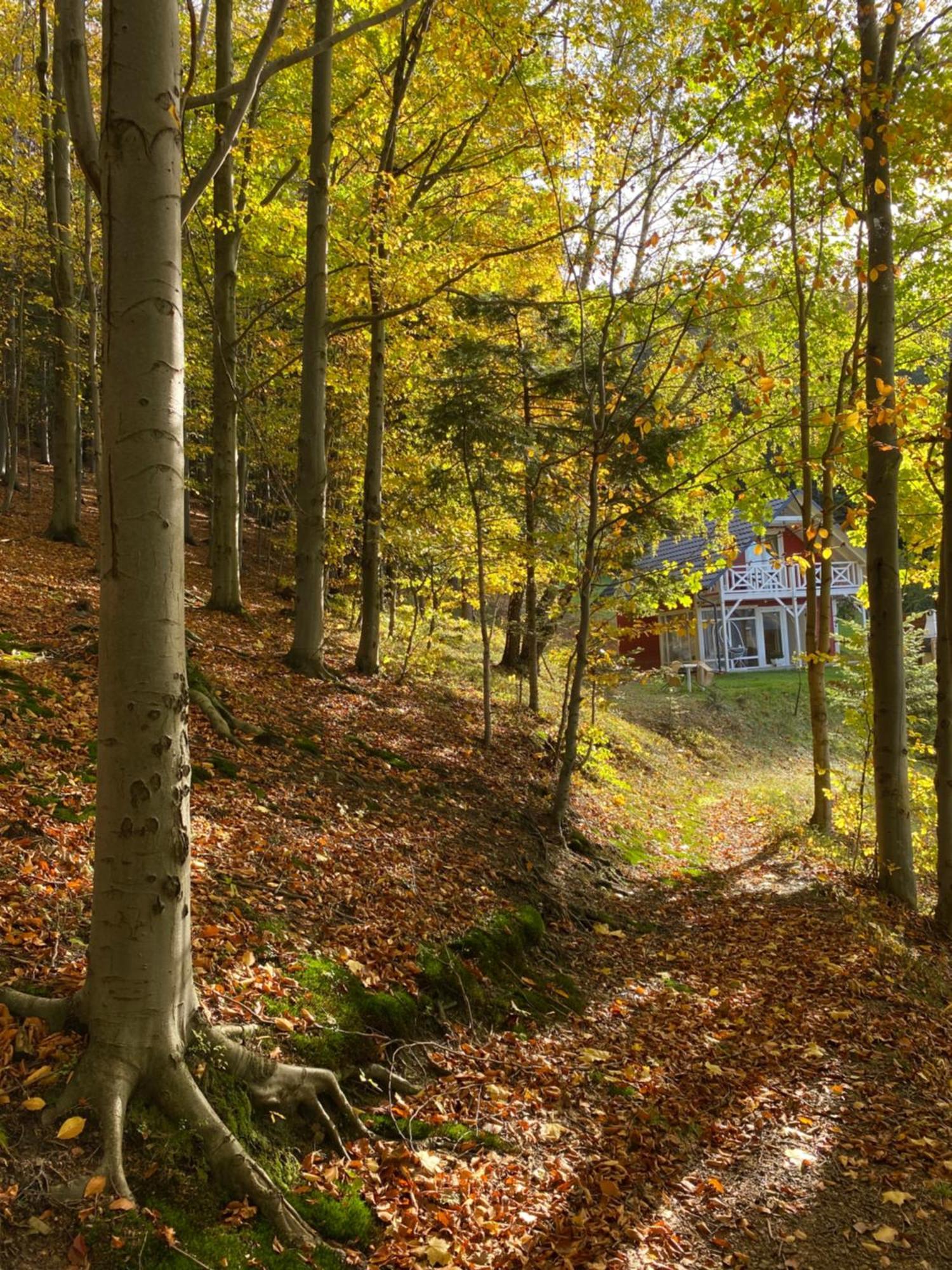 Forest House Targanice Eksteriør bilde